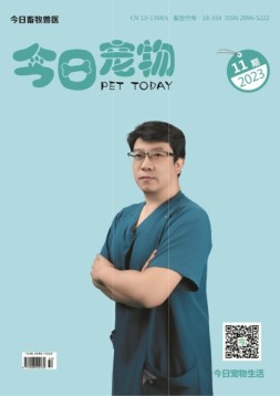 今日宠物 23年第11期