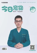 今日宠物 23年第10期