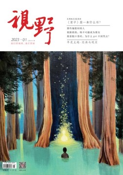 视野 23年第1期