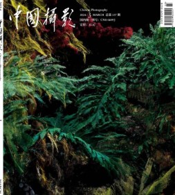 中国摄影 24年3月号