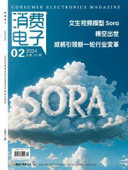 消费电子 24年2月号