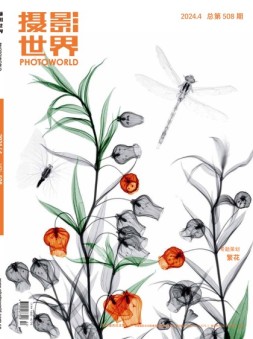 摄影世界 24年4月号