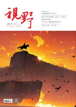 视野 24年第7期