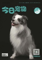 今日宠物 23年第2期
