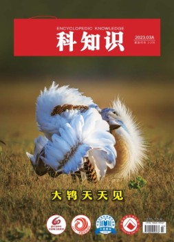 百科知识 23年3月上