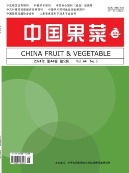 中国果菜 24年5月号