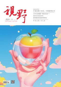 视野 24年第11期