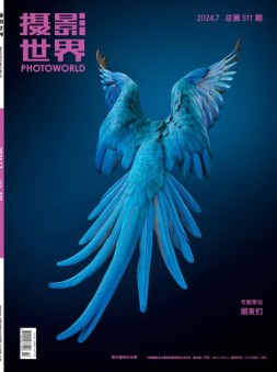 摄影世界 24年7月号