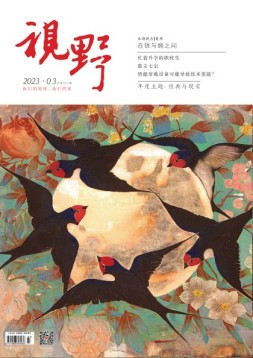 视野 23年第3期