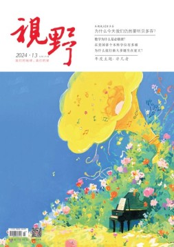 视野 24年第13期