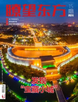 瞭望东方周刊 24年第15期