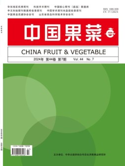 中国果菜 24年7月号