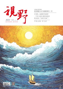 视野 24年第15期