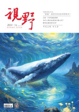 视野 24年第16期
