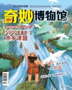 奇妙博物馆 24年9月号