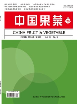 中国果菜 24年9月号