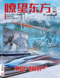 瞭望东方周刊 24年第21期