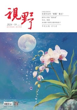视野 24年第19期