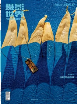 摄影世界 24年10月号