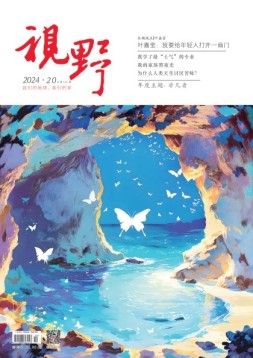 视野 24年第20期