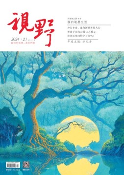 视野 24年第21期