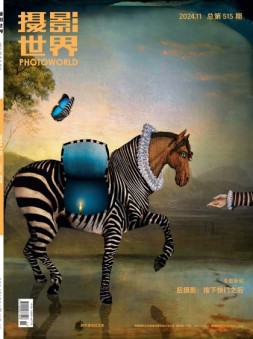 摄影世界 24年11月号