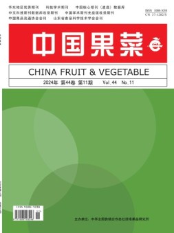 中国果菜 24年11月号