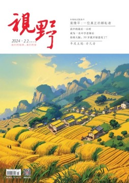 视野 24年第22期