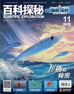百科探秘·海底世界 24年11月号