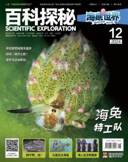 百科探秘·海底世界 24年12月号