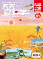 天天爱科学·科学启蒙 25年1月号