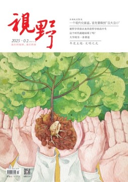 视野 25年第2期