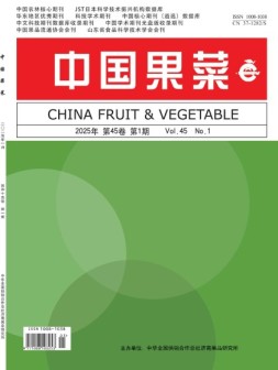 中国果菜 25年1月号
