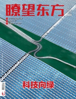 瞭望东方周刊 25年第3期