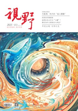 视野 25年第3期