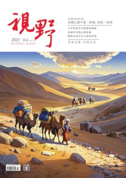 视野 25年第4期