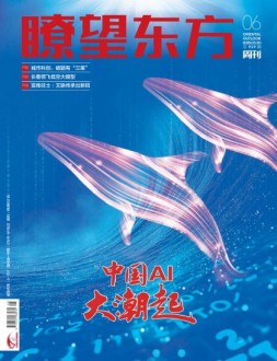 瞭望东方周刊 25年第6期
