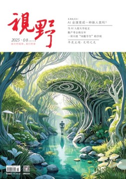 视野 25年第8期