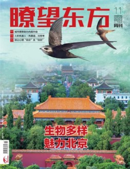 瞭望东方周刊 25年第11期