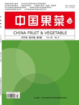 中国果菜 25年5月号
