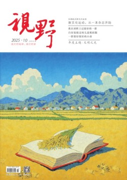 视野 25年第10期