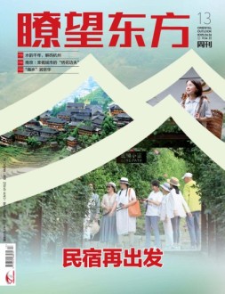 瞭望东方周刊 25年第13期