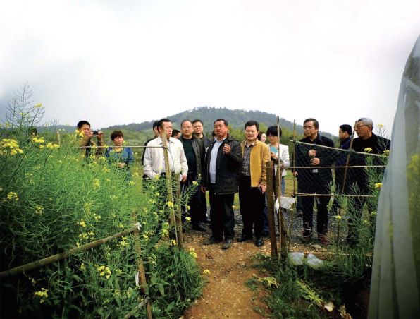 沈克泉,沈昌健 两代人的油菜梦