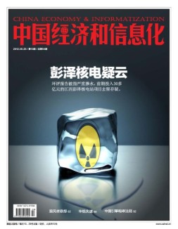 中国经济和信息化 12年总第54期