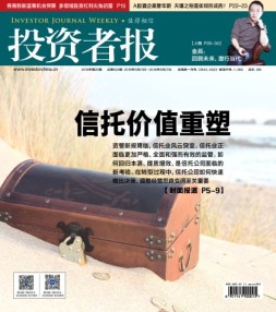 投资者报 18年第20期