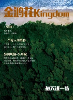 金鸿花 18年11月号